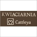 Kwiaciarnia Cattleya